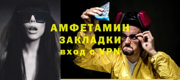 крисы Богородицк