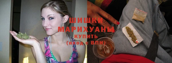spice Богородск