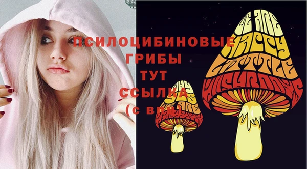 винт Богданович