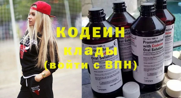 крисы Богородицк