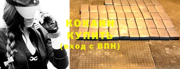 крисы Богородицк