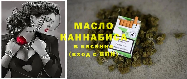 spice Богородск