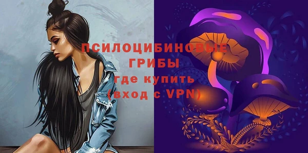 spice Покров