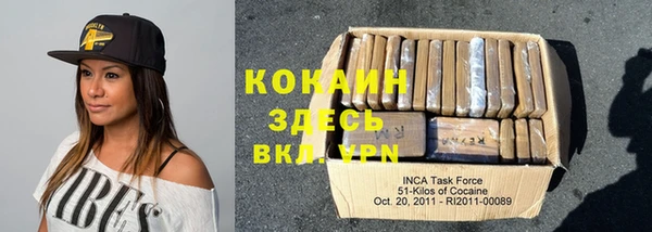 крисы Богородицк